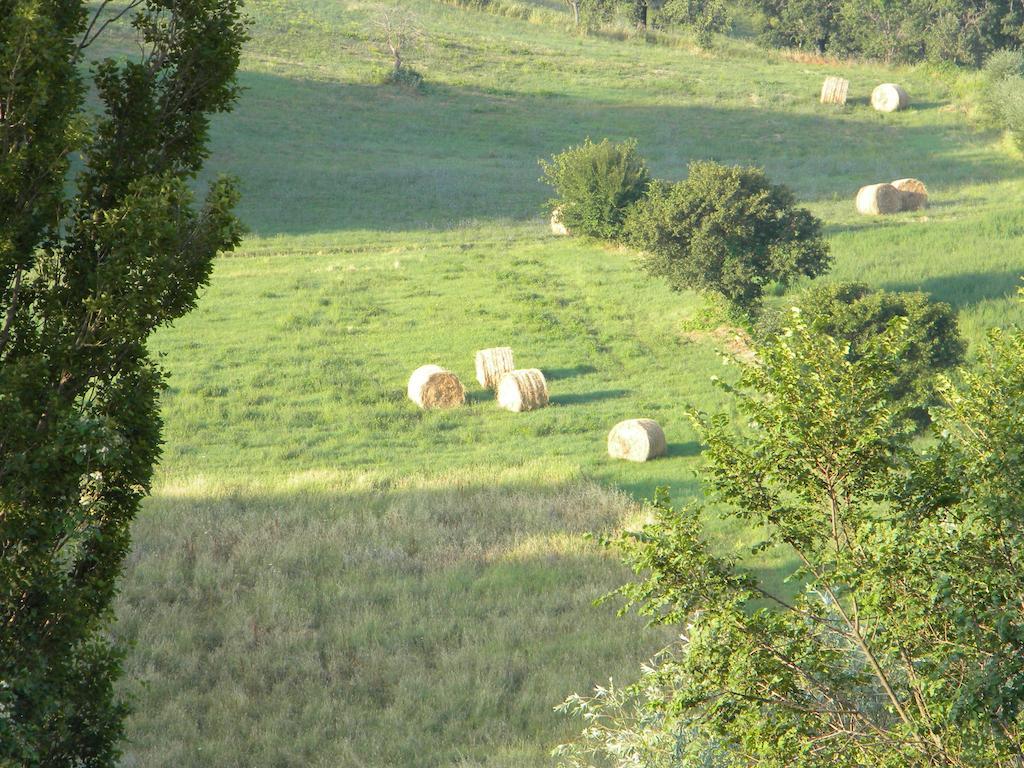 Agriturismo Borgo San Benedetto Villa Pietralunga  Exteriör bild