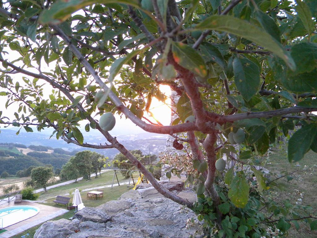 Agriturismo Borgo San Benedetto Villa Pietralunga  Exteriör bild